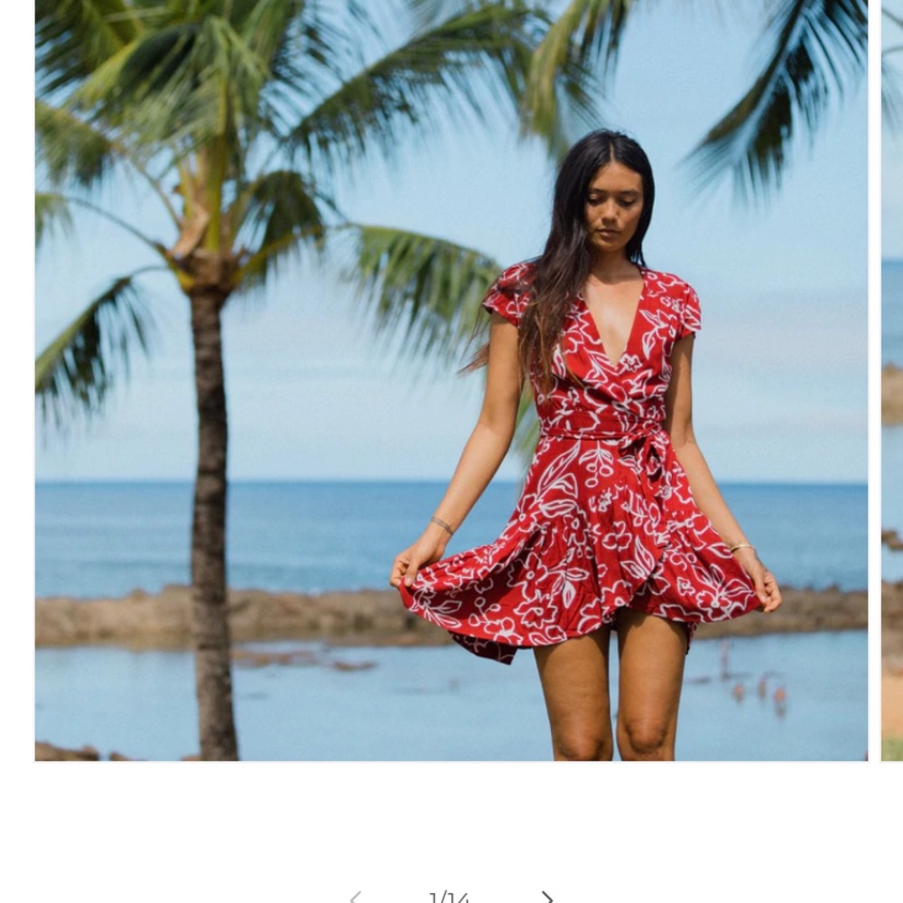 NWT XIX palms dress